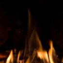 순천-58호 이미지