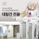 다산동물병원 이미지