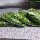 석수농장 이미지