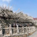 섬진마을주차장 소 네이버블로그