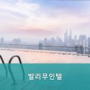 발리무인텔 이미지