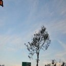 삼우당터 이미지