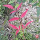 백옥세탁소 이미지