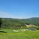 이문영 행정사사무소 이미지