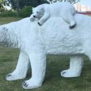 남곡초등학교(병설) 이미지