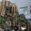 작심삼일 이미지