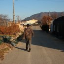 늘푸른농장1 이미지