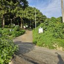 홍포망산펜션 이미지