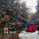 더꽃통영 | 통영 수국 카페 아르세 동백꽃 절정 이후 방문 후기