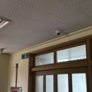 신덕초등학교 티스토리