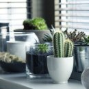 형일초등학교 이미지