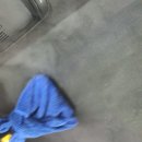 삼일카크리닝 | 운정실내크리닝 자동차 실내 음료수터짐 말끔하게 정리해주신 원데이카 추천