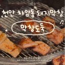 막창도둑차암점