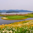 다산베아채 골프&리조트 이미지