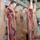 이해철 농장 이미지