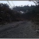 서성리 입구 이미지