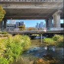 토성민속마을 | 성내천길(松坡)