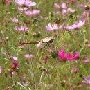 조은건설 이미지