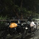 브이세븐(V7) 이미지