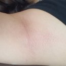 윤쓰뷰티 아카데미