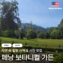 자연가든 | [🇲🇾페낭 여행] 페낭 가볼만한 곳 추천 보타니컬 가든 후기 | 자연 속 힐링 산책 &amp; 사진 맛집 🌴