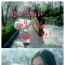 쉐링프라우코리아