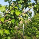 새만금농장 이미지