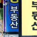 주식회사 대신부동산중개법인 정책브리핑