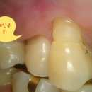 시원플란트치과의원 이미지