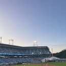 먹거리만두 이미지