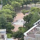 신대부적1어린이공원 네이버블로그