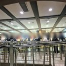 혜성초등학교 | 롯데월드 토요일 주말 오후 방문 후기(혼잡도, 탄 놀이기구, 퍼레이드)