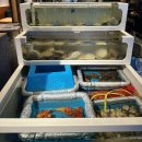 본오동우체국 화장실 | [안산 고잔동 이자카야] 또간집 고잔동 술집 추천 수산장 후기