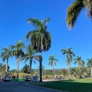 코리아컨트리클럽 | 필리핀 클락 코리아CC 골프장 후기 | 숙소 컨디션, 마운틴·레이크 코스, 라운딩 후 라면까지