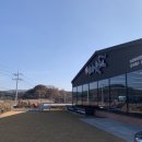 숲속애소 이미지