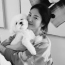 이진수지 이미지