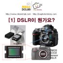 [1] DSLR이 뭔가요? 이미지