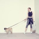 탑발란스휘트니스 이미지