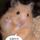학성뚝배기 | 경북 청송 찐현지인맛집 ‘학성식육식당’ | 솔직후기 | 김치가 미친놈이야