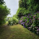 동광리-16 이미지