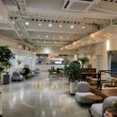 커핑 브레드 이미지