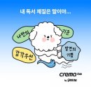 독서미술 B | 2025 서울국제도서전 | 믿을 구석 The Last Resort 마지막날 250622