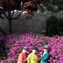 양평막국수 이미지