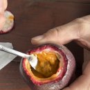 현풍농장 이미지