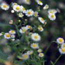 엄사근린공원 이미지