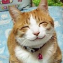 바벨사관학교 이미지