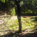 이승훈묘 이미지