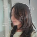 한우물1호 태양광 | 영등포시장역미용실 제오헤어 도하쌤 추천! 레이어드컷, C컬펌