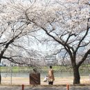 광주 천변길4 이미지