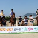 승마대리운전